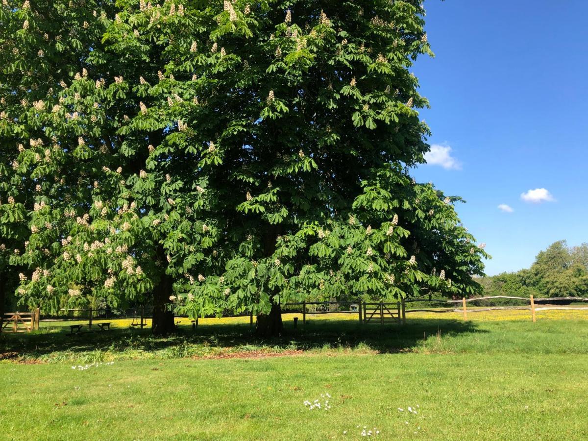 Ryefield Cottage - Luxurious Self-Catered Holiday Cottage With A Log Burner チチェスター エクステリア 写真