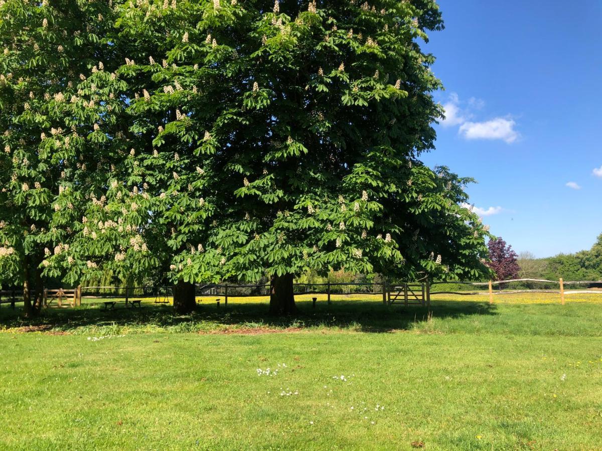 Ryefield Cottage - Luxurious Self-Catered Holiday Cottage With A Log Burner チチェスター エクステリア 写真