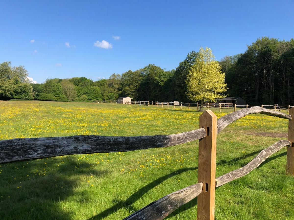 Ryefield Cottage - Luxurious Self-Catered Holiday Cottage With A Log Burner チチェスター エクステリア 写真